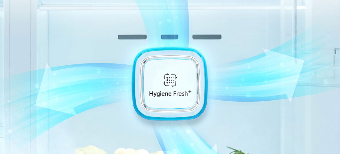 فیلتر بهداشتی ™+Hygiene FRESH در یخچال ال جی X39 سفید 2024